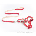 Corde de traction de chien neuve